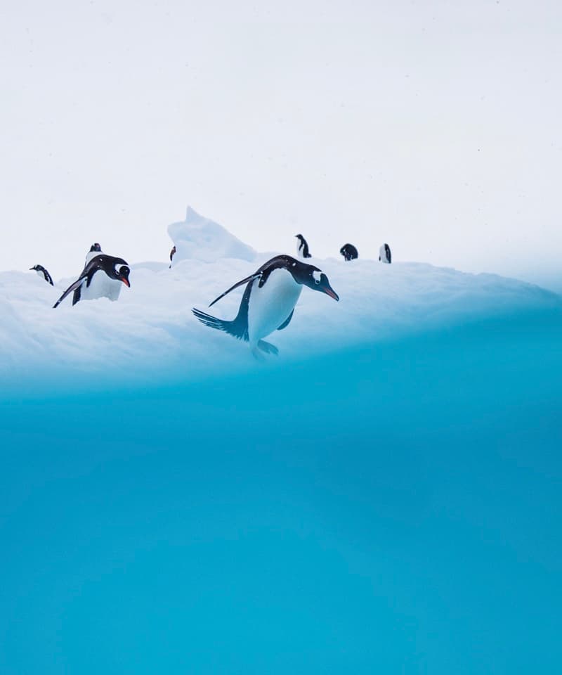 Antarctic expedition